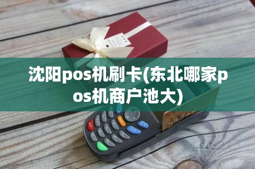 沈阳pos机刷卡(东北哪家pos机商户池大)