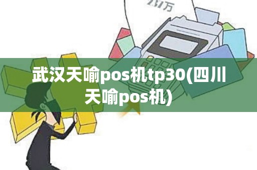武汉天喻pos机tp30(四川天喻pos机)