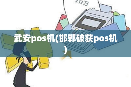 武安pos机(邯郸破获pos机)