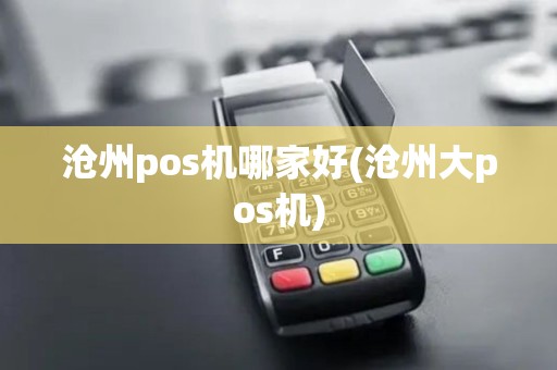 沧州pos机哪家好(沧州大pos机)