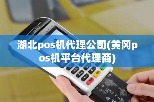 湖北pos机代理公司(黄冈pos机平台代理商)