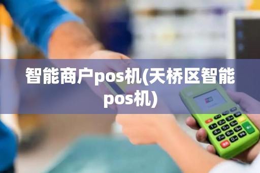 智能商户pos机(天桥区智能pos机)