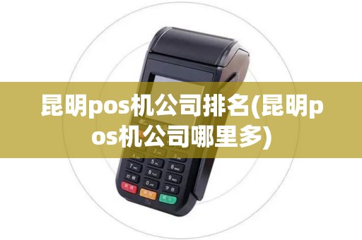 昆明pos机公司排名(昆明pos机公司哪里多)