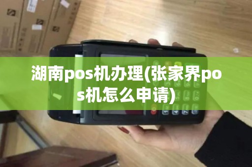 湖南pos机办理(张家界pos机怎么申请)