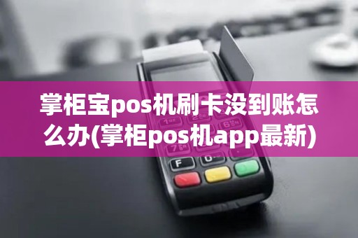 掌柜宝pos机刷卡没到账怎么办(掌柜pos机app最新)