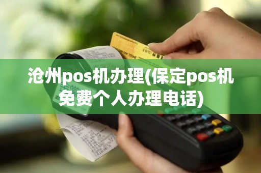沧州pos机办理(保定pos机免费个人办理电话)