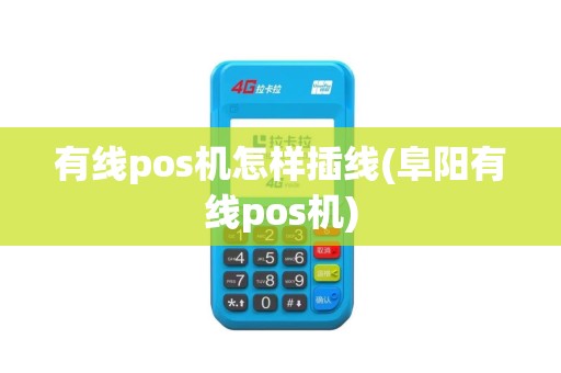 有线pos机怎样插线(阜阳有线pos机)