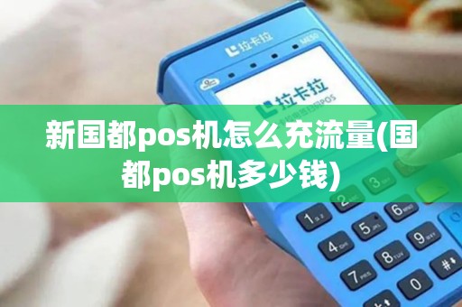 新国都pos机怎么充流量(国都pos机多少钱)