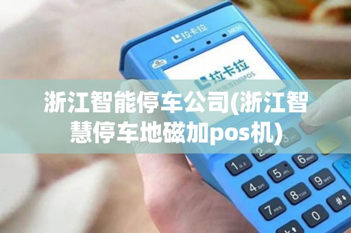 浙江智能停车公司(浙江智慧停车地磁加pos机)