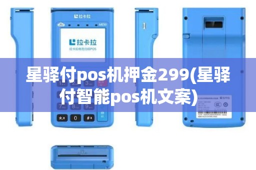 星驿付pos机押金299(星驿付智能pos机文案)