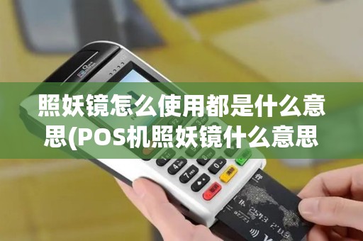 照妖镜怎么使用都是什么意思(POS机照妖镜什么意思)