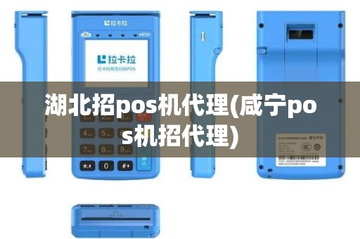 湖北招pos机代理(咸宁pos机招代理)