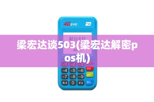 梁宏达谈503(梁宏达解密pos机)