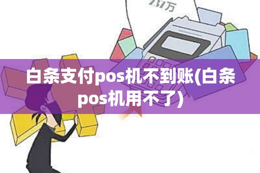 白条支付pos机不到账(白条pos机用不了) 白条支付pos机不到账(白条pos机用不了)