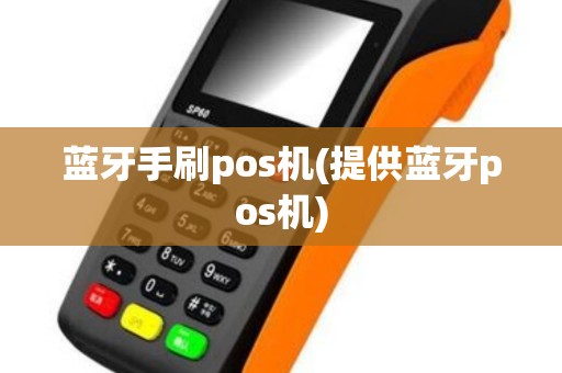 蓝牙手刷pos机(提供蓝牙pos机) 蓝牙手刷pos机(提供蓝牙pos机)