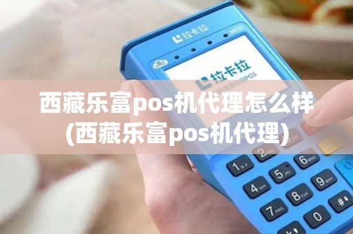 西藏乐富pos机代理怎么样(西藏乐富pos机代理)