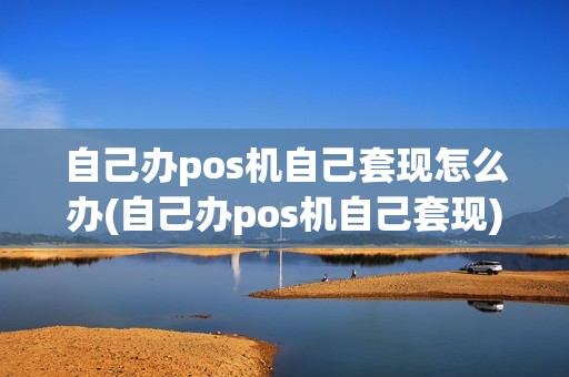 自己办pos机自己套现怎么办(自己办pos机自己套现)