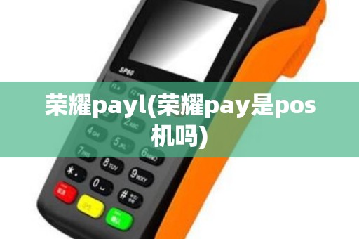 荣耀payl(荣耀pay是pos机吗)