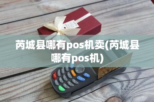 芮城县哪有pos机卖(芮城县哪有pos机)