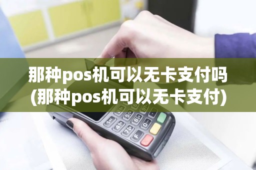 那种pos机可以无卡支付吗(那种pos机可以无卡支付)
