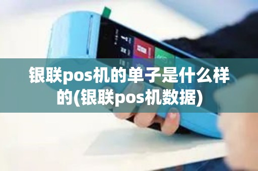 银联pos机的单子是什么样的(银联pos机数据)