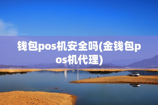 钱包pos机安全吗(金钱包pos机代理) 钱包pos机安全吗(金钱包pos机代理)