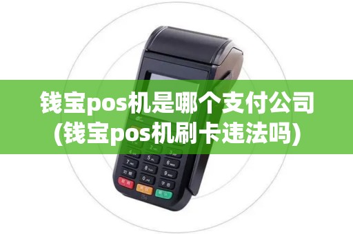 钱宝pos机是哪个支付公司(钱宝pos机刷卡违法吗)