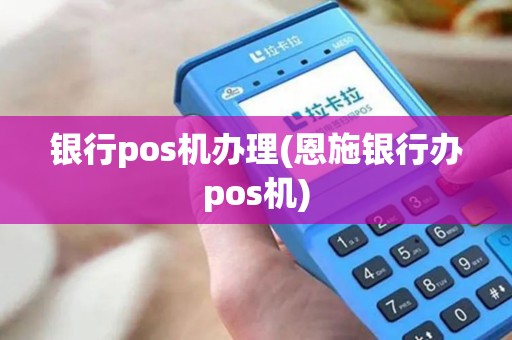 银行pos机办理(恩施银行办pos机)