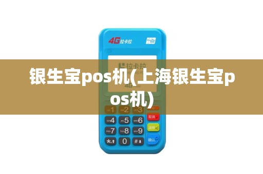 银生宝pos机(上海银生宝pos机)