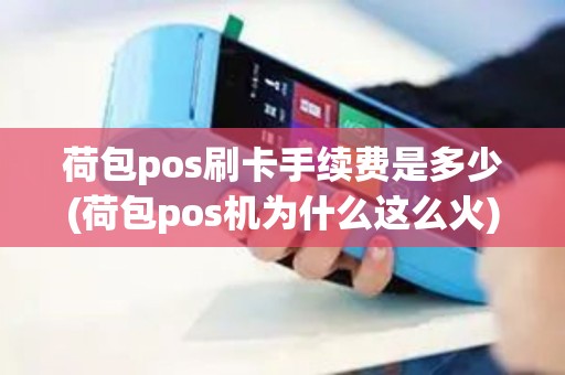 荷包pos刷卡手续费是多少(荷包pos机为什么这么火)