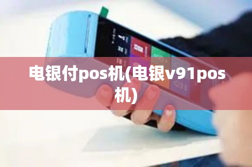 电银付pos机(电银v91pos机)