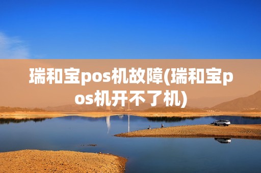 瑞和宝pos机故障(瑞和宝pos机开不了机)