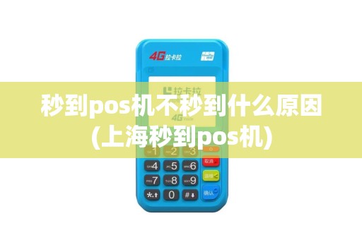 秒到pos机不秒到什么原因(上海秒到pos机)