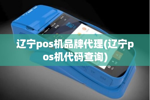 辽宁pos机品牌代理(辽宁pos机代码查询)