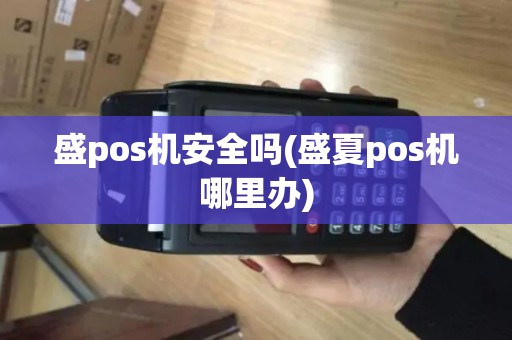 盛pos机安全吗(盛夏pos机哪里办)