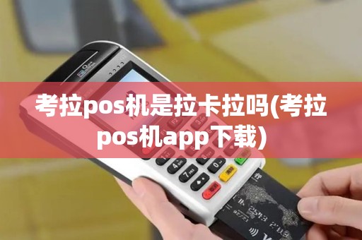 考拉pos机是拉卡拉吗(考拉pos机app下载)