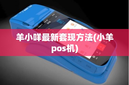 羊小咩最新套现方法(小羊pos机)