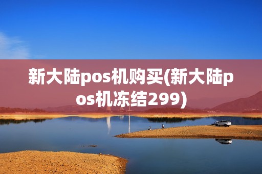 新大陆pos机购买(新大陆pos机冻结299)