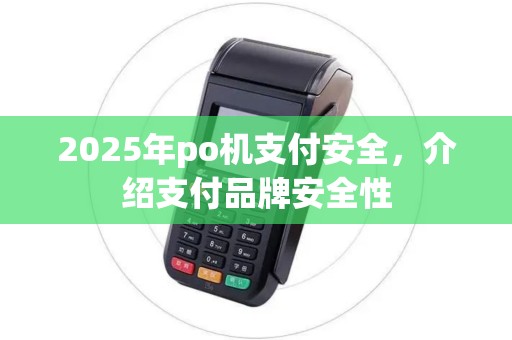 2025年po机支付安全，介绍支付品牌安全性