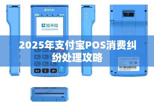 2025年支付宝POS消费纠纷处理攻略
