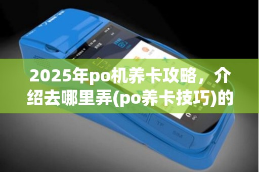 2025年po机养卡攻略，介绍去哪里弄(po养卡技巧)的技巧与注意事项