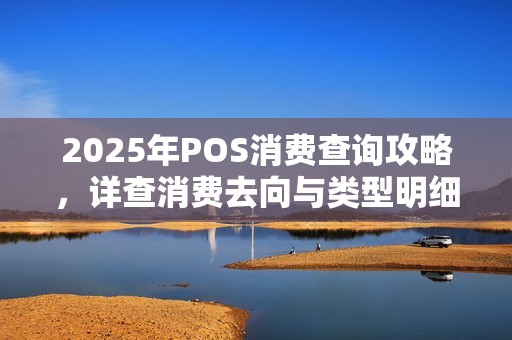 2025年POS消费查询攻略，详查消费去向与类型明细