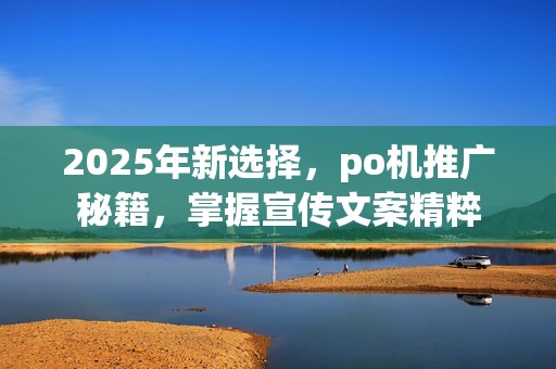 2025年新选择，po机推广秘籍，掌握宣传文案精粹