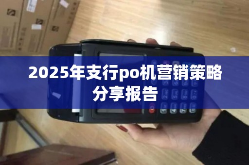 2025年支行po机营销策略分享报告