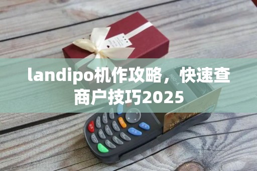 landipo机作攻略,快速查商户技巧2025 landipo机作攻略,快速查商户技巧2025