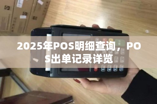 2025年POS明细查询，POS出单记录详览