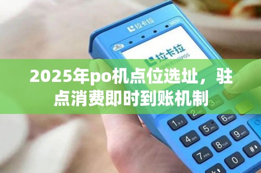 2025年po机点位选址，驻点消费即时到账机制