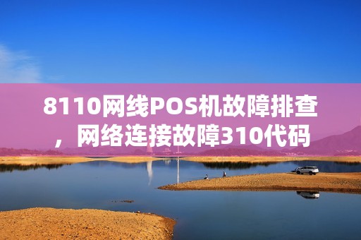 8110网线POS机故障排查，网络连接故障310代码