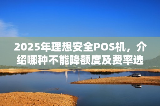 2025年理想安全POS机，介绍哪种不能降额度及费率选择