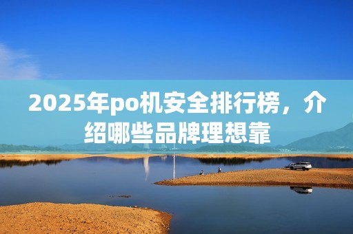 2025年po机安全排行榜，介绍哪些品牌理想靠